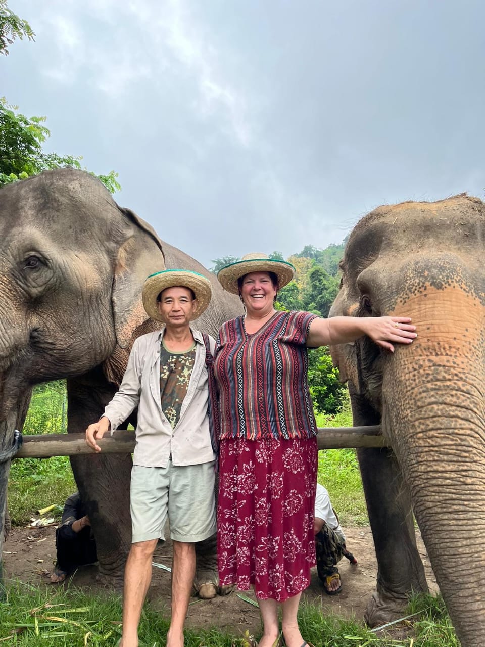 Legend Elephant Sanctuary Chiang Mai Thailand
